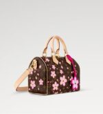 LV x TM SPEEDY BANDOULIÈRE 25 - Image 4