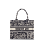 Small Dior Book Tote