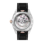 Omega Seamaster Silver Dial Replica - Image 6